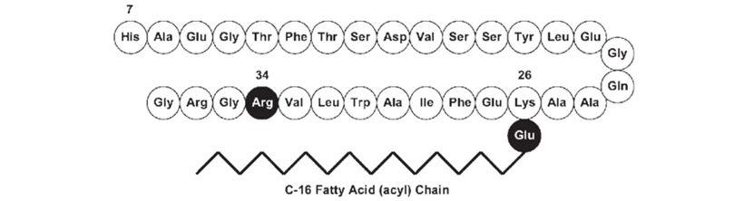 Structure-of-liraglutide