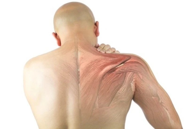 MK677 supply side effect MK677 supply side effect