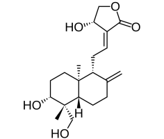 Andrographolide structure Andrographolide structure