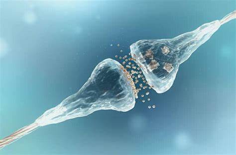 What Are The Benefits Of Peptide Dihexa What Are The Benefits Of Peptide Dihexa