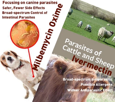 Is Milbemycin Oxime The Same As Ivermectin Is Milbemycin Oxime The Same As Ivermectin