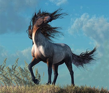 Почему все используют волшебное красное зелье бутафосат?🐱🐴🐶🐷