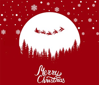 Сегодня Рождество. Изучите 4 вида рождественской еды и пожелайте своей семье ...