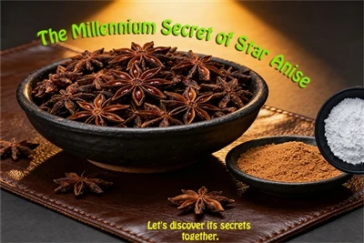 Тысячелетнее путешествие и современная миссия Star Anise