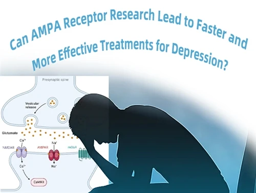 Могут ли исследования рецепторов AMPA действительно облегчить депрессию?
